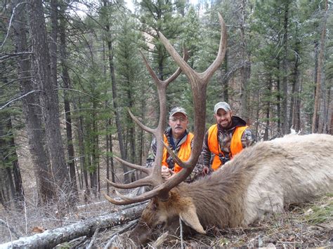 Montana Outfitter Journal: Elk hunting in Montana