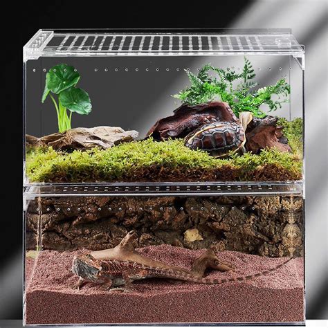 WINDLAND Magnetic Acrylic Case Arboreal Tarantula Enclosure Reptile Habitat Terrarium - Walmart.com