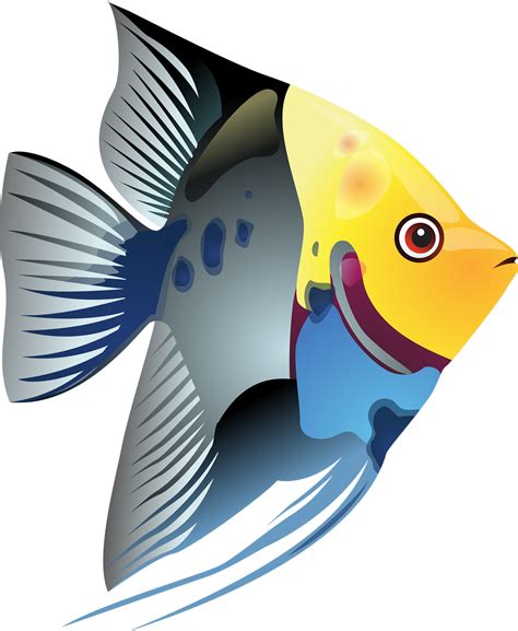 Clipart Tropical Fish - Png Download - Full Size Clipart (#4998688) - PinClipart