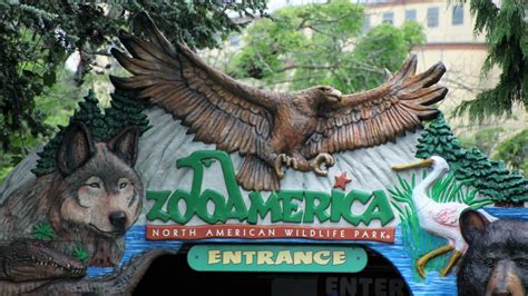 Susan's Disney Family: ZooAmerica a great Zoo with an amazing after hours tour, that everyone ...