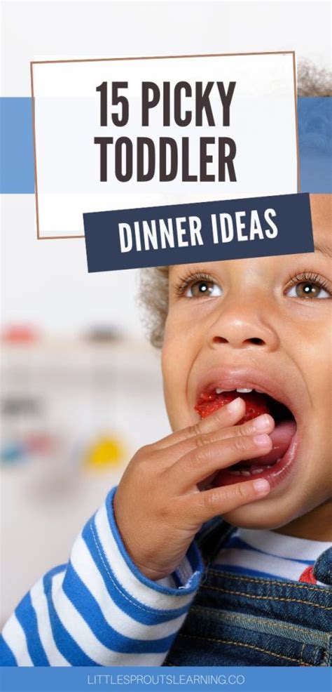 15 Picky Toddler Dinner Ideas-Little Sprouts Learning