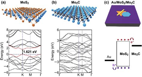 MoS2-Based Photodetectors Powered by Asymmetric Contact Structure with Large Work Function ...