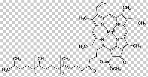 Chlorophyll A Chlorophyll B Structure Chlorophyll F PNG, Clipart, Angle ...