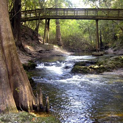 Camping Suwannee River State Park in North Florida - 50 Campfires