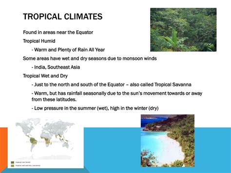 PPT - Climate and Vegetation Patterns PowerPoint Presentation, free download - ID:2637547