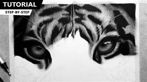 How To Draw Realistic Fur in Very Easy Way | Tutorial for BEGINNERS - YouTube