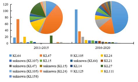 Serotype variation over 10 years. ST11 CRKP serotype distribution in ...