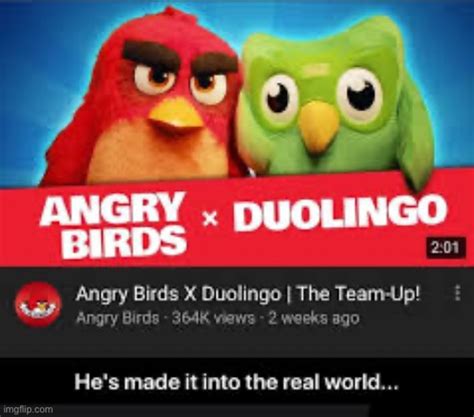 Angry duolingo - Imgflip