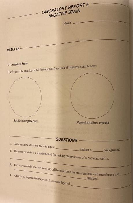 Solved 5.I Negative Stain. Briefly describe and sketch the | Chegg.com