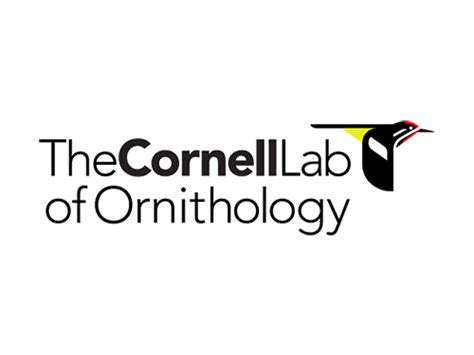 Case Study: Cornell Lab of Ornithology - Schultz & Williams