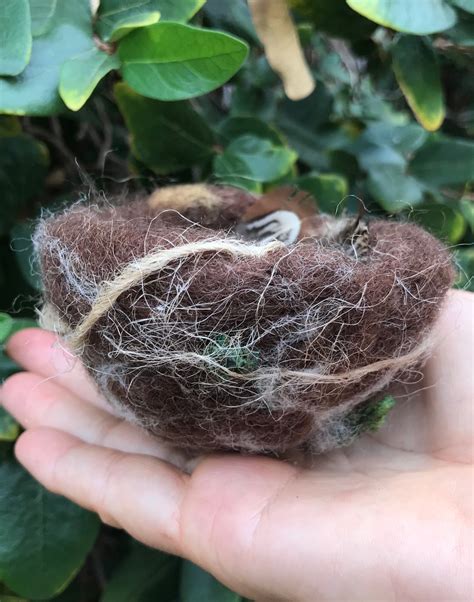 Wool Hummingbird nest | Etsy