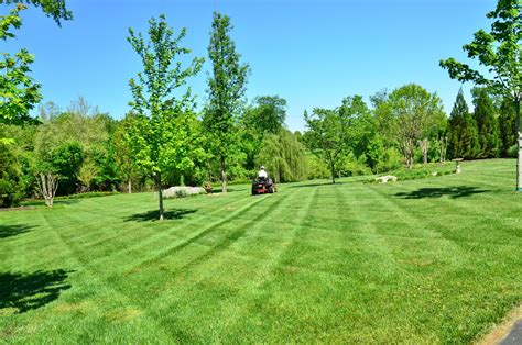 Five Types of Turf: What Is Best for Your Lawn - ArticleCity.com