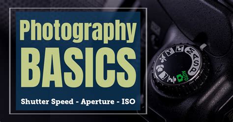 Photography Basics for Beginners - Camera Settings & Tips | Free Course