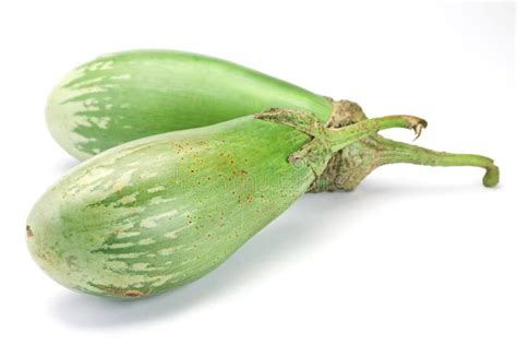 Green eggplant stock image. Image of white, vegetable - 16335739