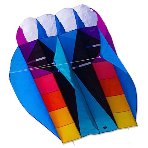 Best Types of Kites For Kids and Children - Kitty Hawk Kites Blog