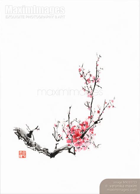 Art Print of Fine art Sumi-e painting of a plum blossom branch with ...