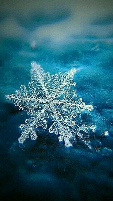 Delicate Snowflake | Snowflake photography, Snowflakes, Snow crystal