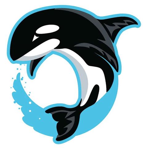 Orca Logo Design 2 - Mascot Junction