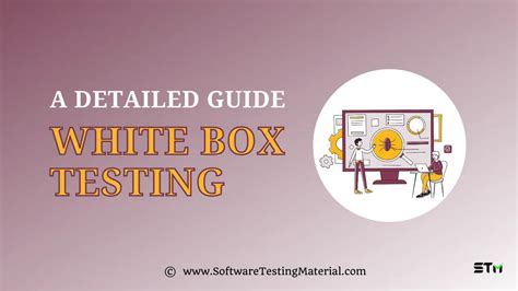 What is White Box Testing and its Types with Examples?