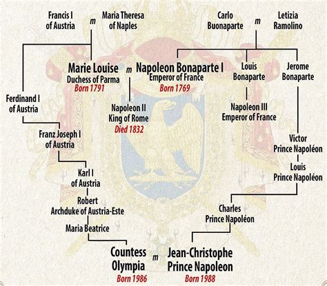 Napoleon Bonaparte's heir marries descendant of French Emperors wife ...