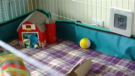 Cage Setup Examples - Page 98 - Hedgehog Central – Hedgehog pet care & owner forum