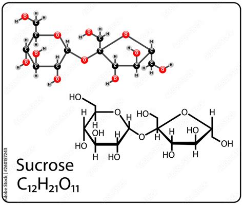 Sucrose Molecule Model