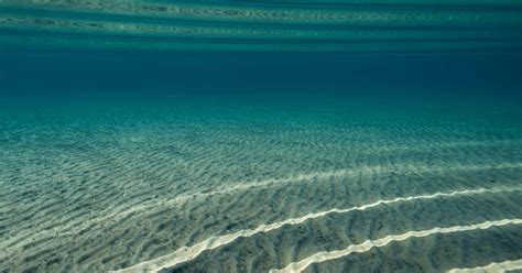 Six amazing underwater scenes from Lake Tahoe