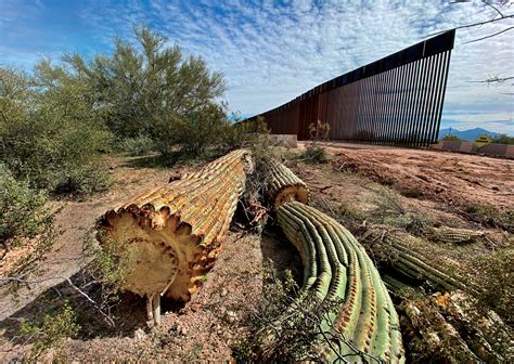 The Border Wall Has Been ‘Absolutely Devastating' for People and Wildlife | Audubon