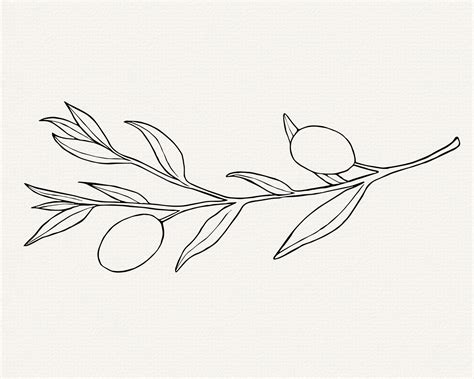 Olive svg for commercial use hand drawn olive branch vector olive leaf line art clip art simple ...