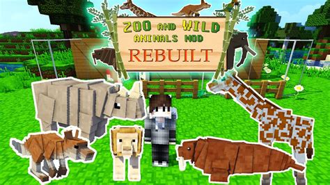 Minecraft Mods Zoo / Zoo & wild animals rebuilt