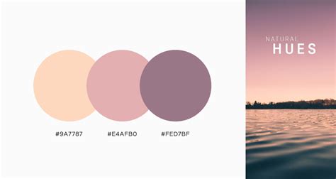 37 Beautiful Color Palettes For Your Next Design Project