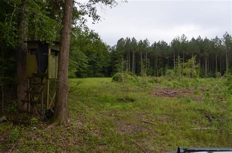 49+- Acres for sale in Macon Co Alabama | Macon County | Tuskegee, AL