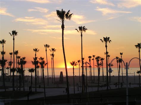 Venice Beach Sunset Wallpapers on WallpaperDog