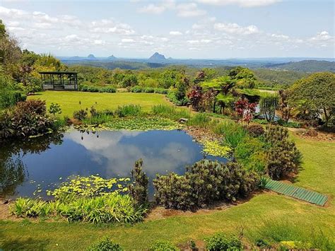 Maleny Botanic Gardens & Bird World: UPDATED 2019 All You Need to Know Before You Go (with PHOTOS)