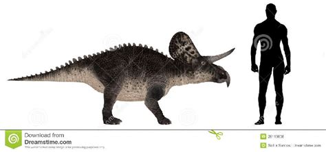 Zuniceratops Pictures & Facts - The Dinosaur Database