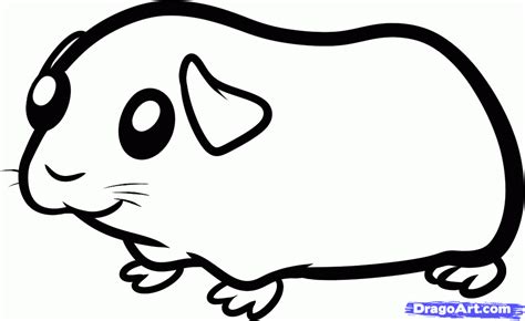 guinea pig coloring pages | how to draw a guinea pig for kids step 5 | Guinea pigs, Pig painting ...