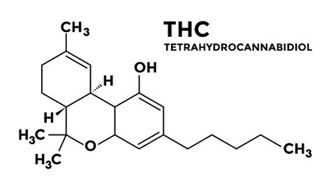 Tetrahydrokanabinol Thc Wzór Strukturalny - Stockowe grafiki wektorowe i więcej obrazów ...