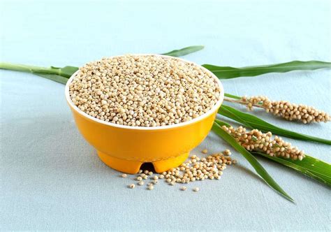 Jowar - Nutrition: Health Benefits and Facts - Times Foodie