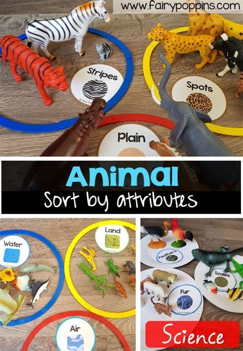 Animal Sort and Classify , #Animal #CLASSIFY #Sort | Animal activities for kids, Zoo animals ...