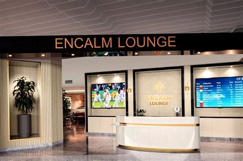 New lounge operational at Delhi airport: DIAL