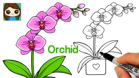 How to Draw an Orchid Flower Easy - YouTube