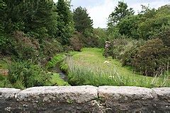 Category:Carnon River - Wikimedia Commons
