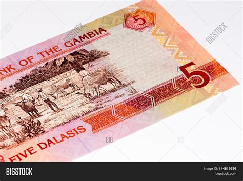 5 Gambian Dalasi Bank Image & Photo (Free Trial) | Bigstock