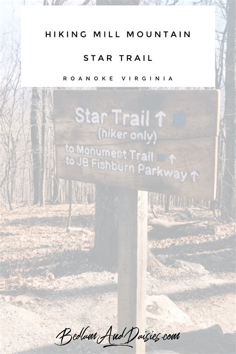 Hiking Mill Mountain Star Trail - Bedlam & Daisies | Star trails ...