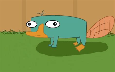 Baby Perry The Platypus Wallpapers - Wallpaper Cave