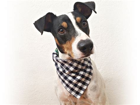 Dog Bandana Blue Gingham , Navy Blue , Male Dog Bandana , Bandana Collar Cover - Etsy