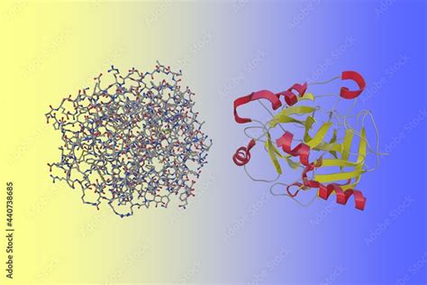 Crystal structure and molecular model of human thrombin-inhibitor ...