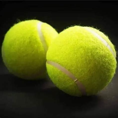 Lawn Tennis balls at Rs 60/piece | Shastri Nagar | Meerut | ID: 25265991662