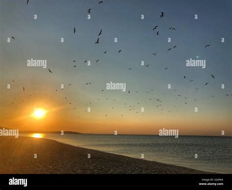 Birds flying away hi-res stock photography and images - Alamy