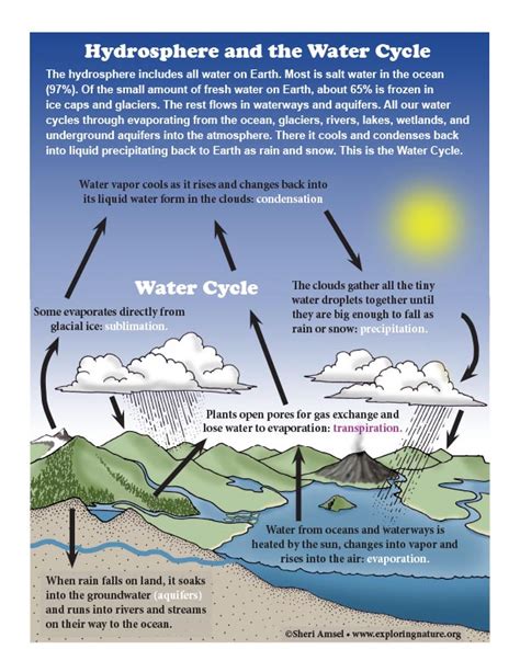 Hydrosphere Cycle